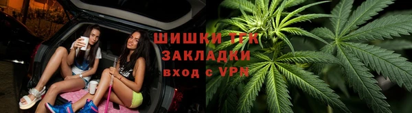 дмт Карпинск