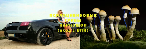 ГАЛЛЮЦИНОГЕННЫЕ ГРИБЫ Переславль-Залесский