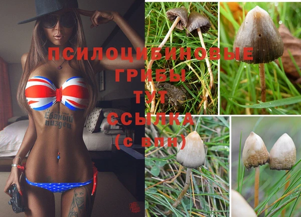 кокаин VHQ Пестово