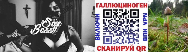 Галлюциногенные грибы MAGIC MUSHROOMS  Торопец 